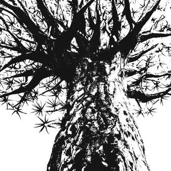 A black and white stylised print of a quiver tree.